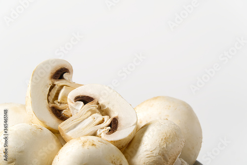 Fresh champignon mushrooms macro shoot. Close-up white champignon.