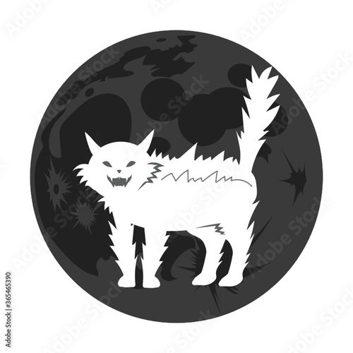 frightened cat
