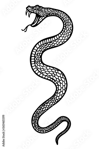 Illustration of poisonous snake  in engraving style. Design element for logo  label  emblem  sign  badge.
