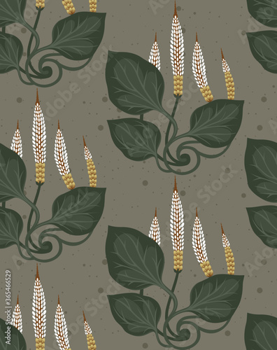 Seamless herbal pattern Great plantain, Plantago major. Medicinal plant wild field flower on a gray background.