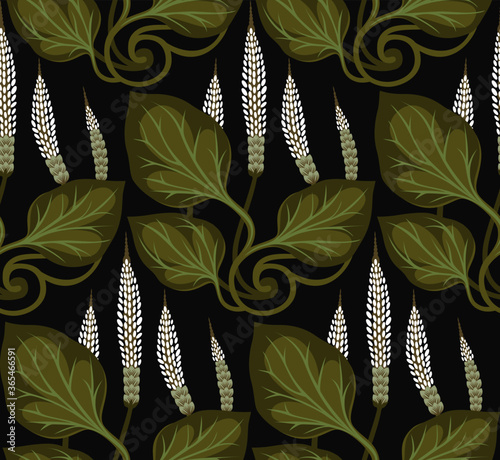 Seamless herbal pattern Great plantain, Plantago major. Medicinal plant wild field flower on a dark gray background.