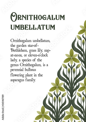 Card with a floral ornament in art Deco style.