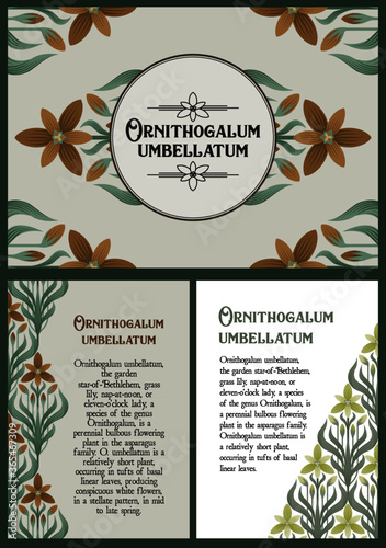 A set of cards with floral ornaments in the art Deco style.