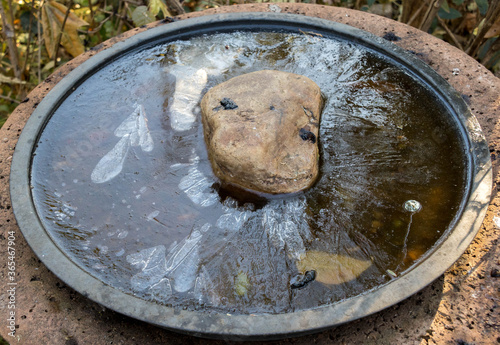 Φωτογραφία Water in a birdbath frozen solid during severe winter cold on the Highveld in Ga