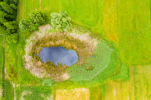 Papier peint Aerial view of natural pond surrounded by pine trees. Europe