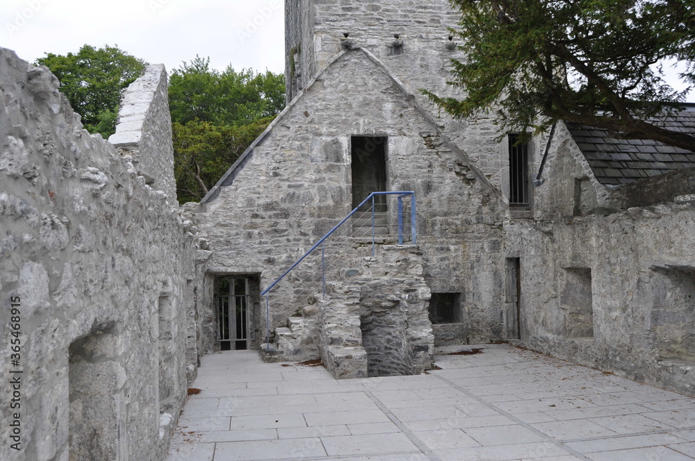 Muckross abbey, Ireland Muckross abbey, Ireland
