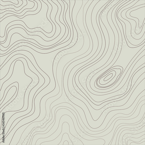topographic map abstract height lines isolated on a beige background vector illustration