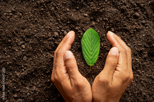 A man's hand wraps around a leaf laying on the ground, the concept of the environment. photo