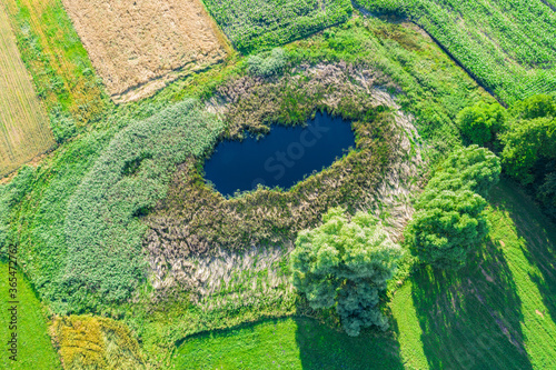 Tableau sur toile Aerial view of natural pond surrounded by pine trees. Europe