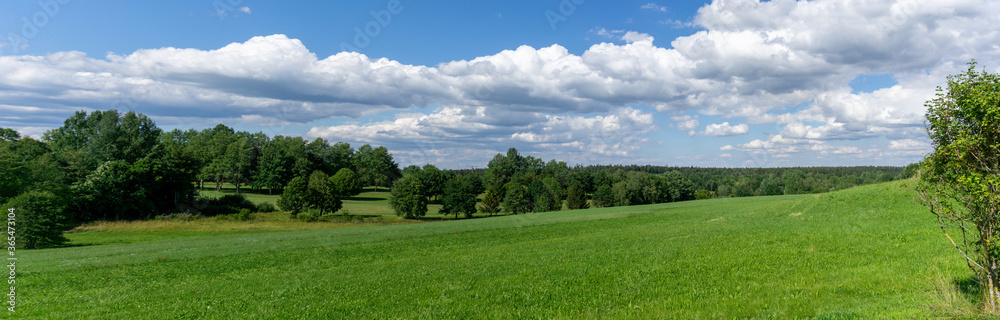 panorama view ofthe rollings hills and forest in the black forest region of Germany