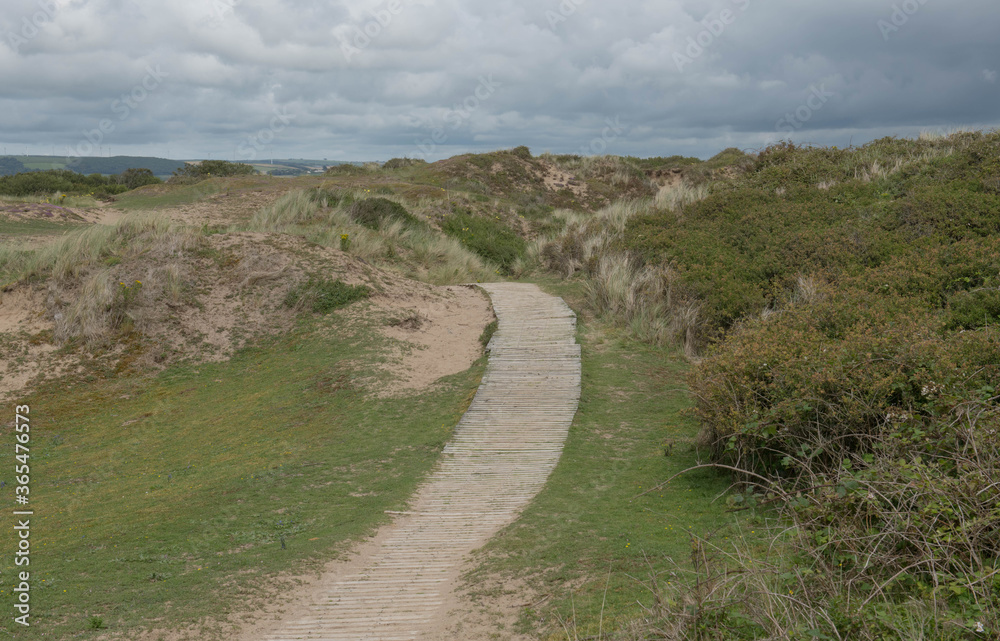 Boardwalk in the Sand Dunes of Braunton Burrows on the North Devon Coast at Crow Point, England, UK