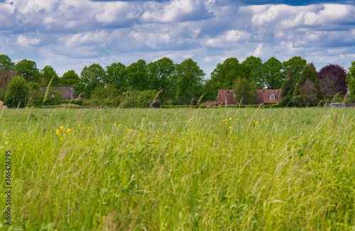 Photo scene from Laar the Netherlands with  on the front a field and on the back a cloudy and blue sky photo