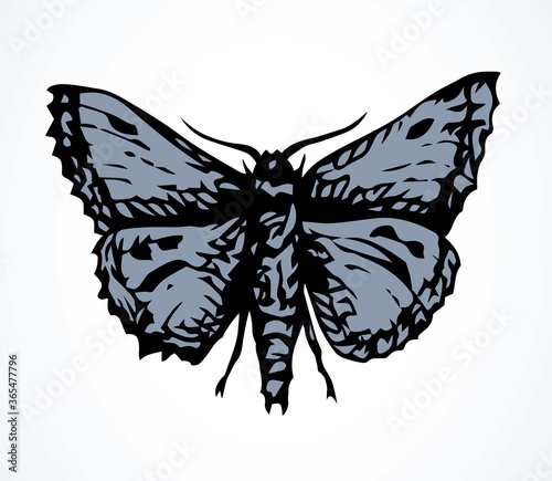 Night butterfly. Vector drawing icon