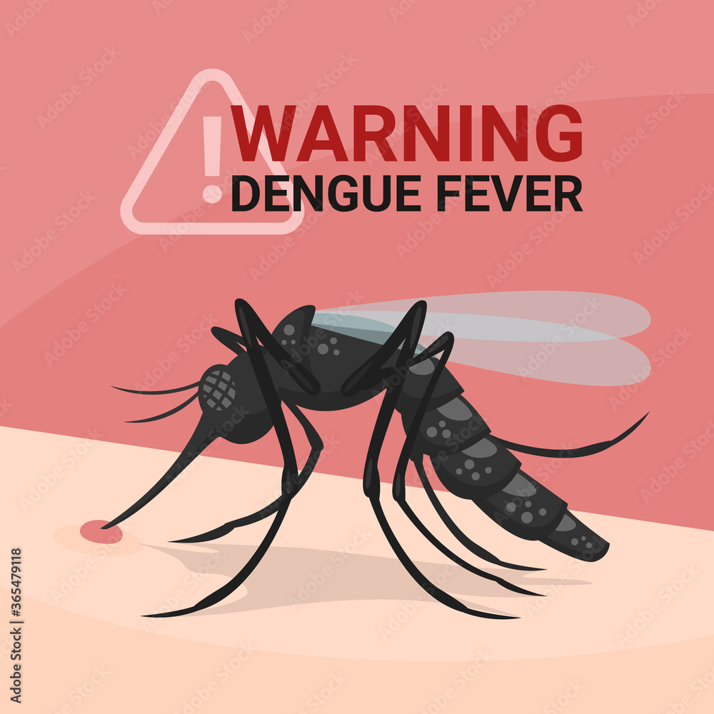 Warning dengue fever banner with closeup mosquitos Drinking blood on