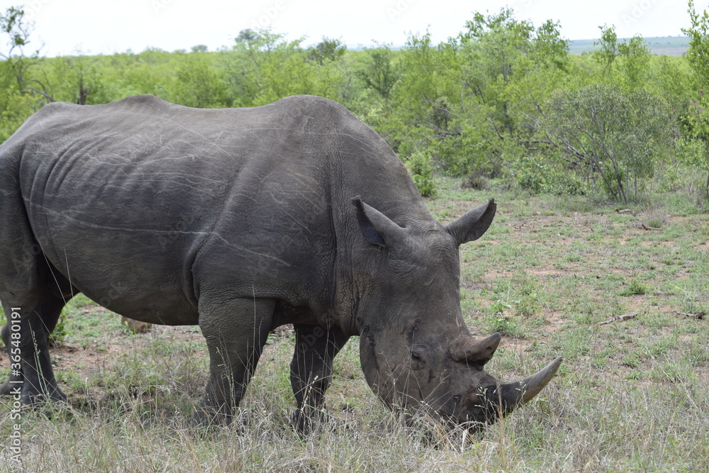 Obraz premium Travel Pics