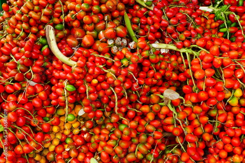 Pupunha fruits (Bactris gasipaes), an edible and delicate palm fruit native in Amazon rainforest, Amazon state, Brazil photo