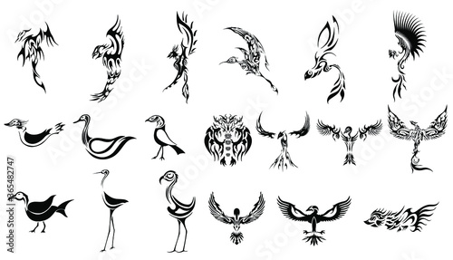 birds big set owl sea gull hawk falcon hummingbird eagle phoenix