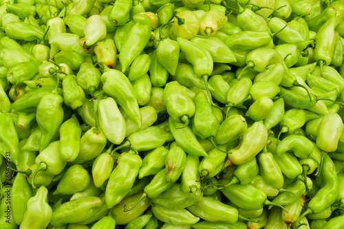 Green Brazilian Chilli pepper Cheiro do Norte (Capsicum chinense) at the market in Belem, state of Para, Brasil