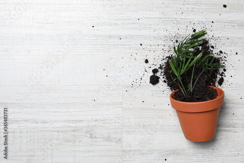 Overturned terracotta flower pot with soil and plant on white wooden background, flat lay. Space for text