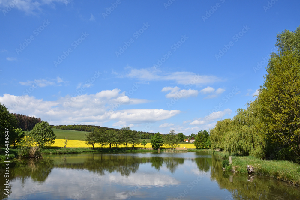 Angelteich bei Dürrhennersdorf in der Oberlausitz Angelteich bei Dürrhennersdorf in der Oberlausitz