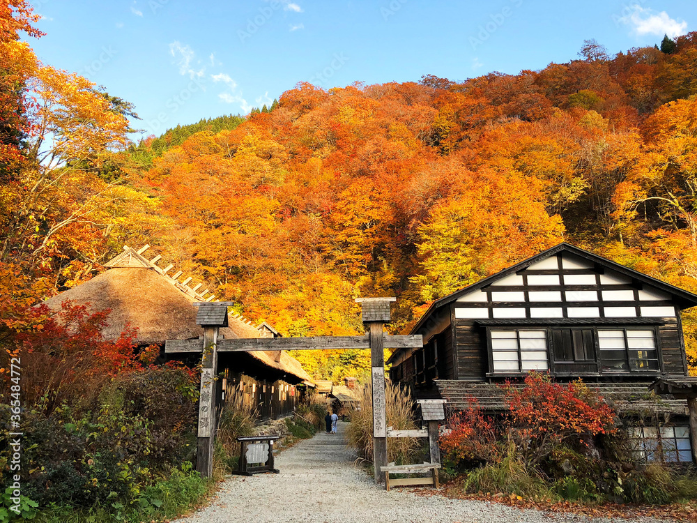 Obraz premium Autumn in Tsurunoyu Hot Spring (Tsurunoyu Onsen, 鶴の湯温泉), which is one of the oldest secluded hot-spring baths in Akita, JAPAN