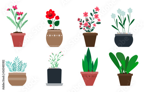 Set of cute vector flower pots for home decor. Flat vector illustration in modern design. Eight isolated ornamental plants with flowers or large leaves. Image for home interior decoration  postcards