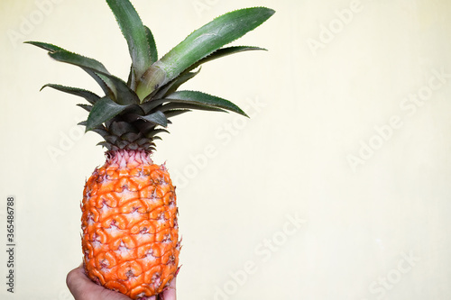 Fresh pineapple against cream coloured background