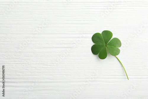 Clover leaf on white wooden table, top view with space for text. St. Patrick's Day symbol