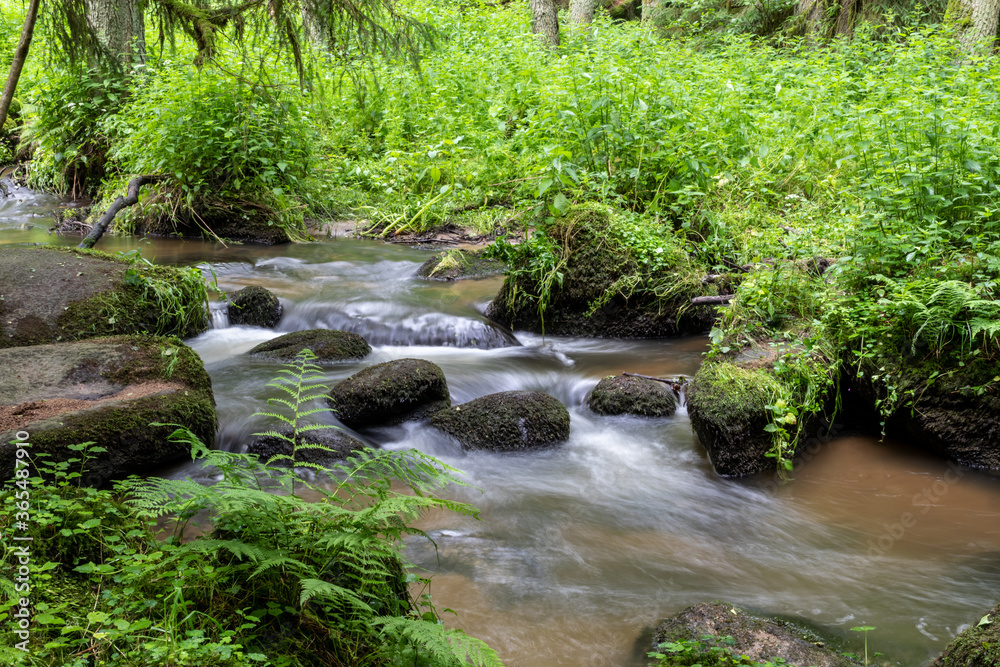 sommerlicher Leraubach bei Leuchtenberg