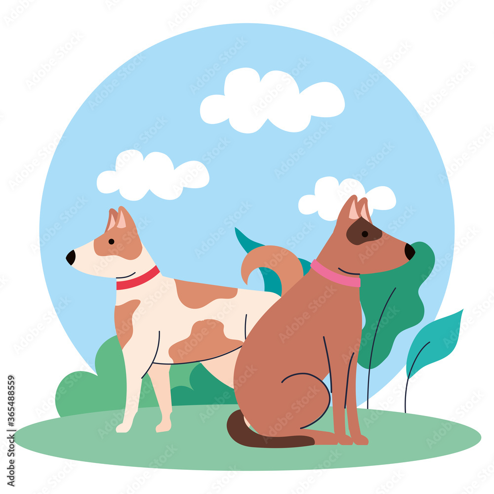 Obraz premium cute dogs pets on outdoor icons vector illustration design