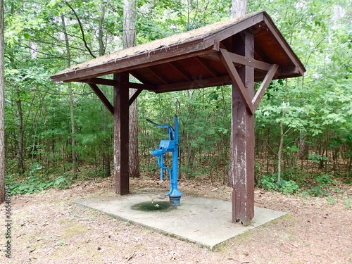 Wilderness Well in the forest