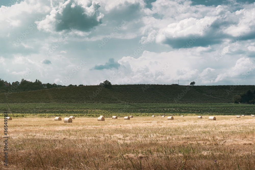 Fototapeta premium Countryside landscape with dramatic clouds and hay rolls in field