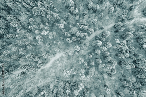 Road in snow covered forest. Drone aerial shot