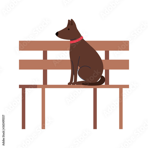 cute dog pet in park chair, on white background vector illustration design