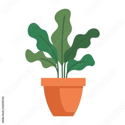 house pot plant on white background vector illustration design