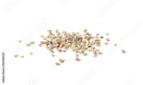 Pile of raw tomato seeds on white background. Vegetable planting