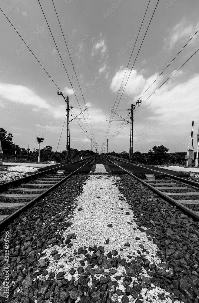 train railroad tracks in the countryside with electric power in black and white
