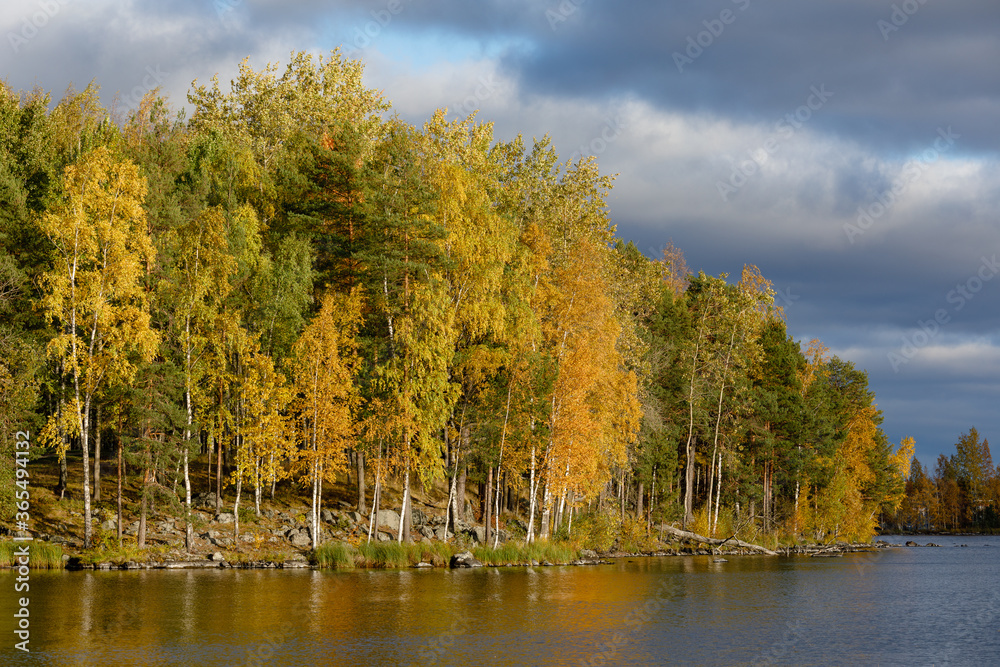 Fototapeta premium Autumn color trees and lake landscape