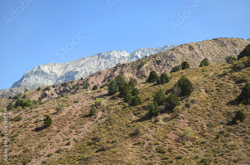 The mountains of Uzbekistan on a Sunny clear day, on the mountain occasionally grow trees and bushes. Mountain landscape with mountains. Mountain Beldersay.