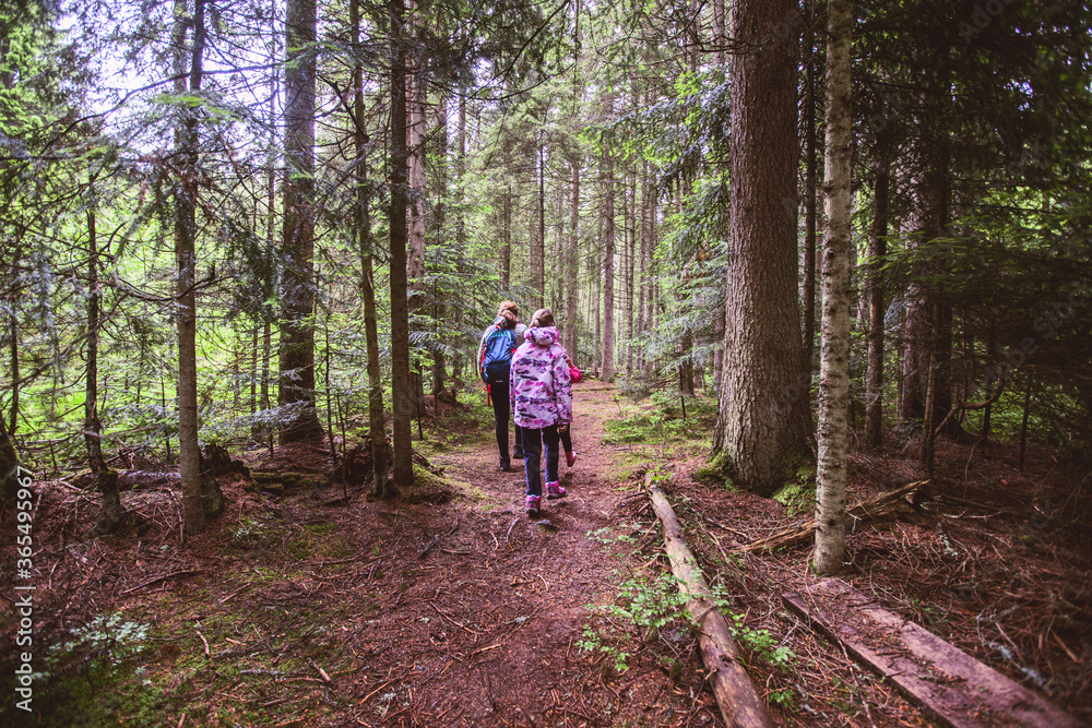 Family Adventure In Beautiful Summer Forest, Healthy Active Lifestyle Family Adventure In Beautiful Summer Forest, Healthy Active Lifestyle