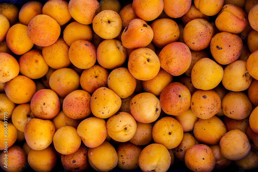 Yellow plum photography, Mirabelle plum, top view, fruits photography Yellow plum photography, Mirabelle plum, top view, fruits photography