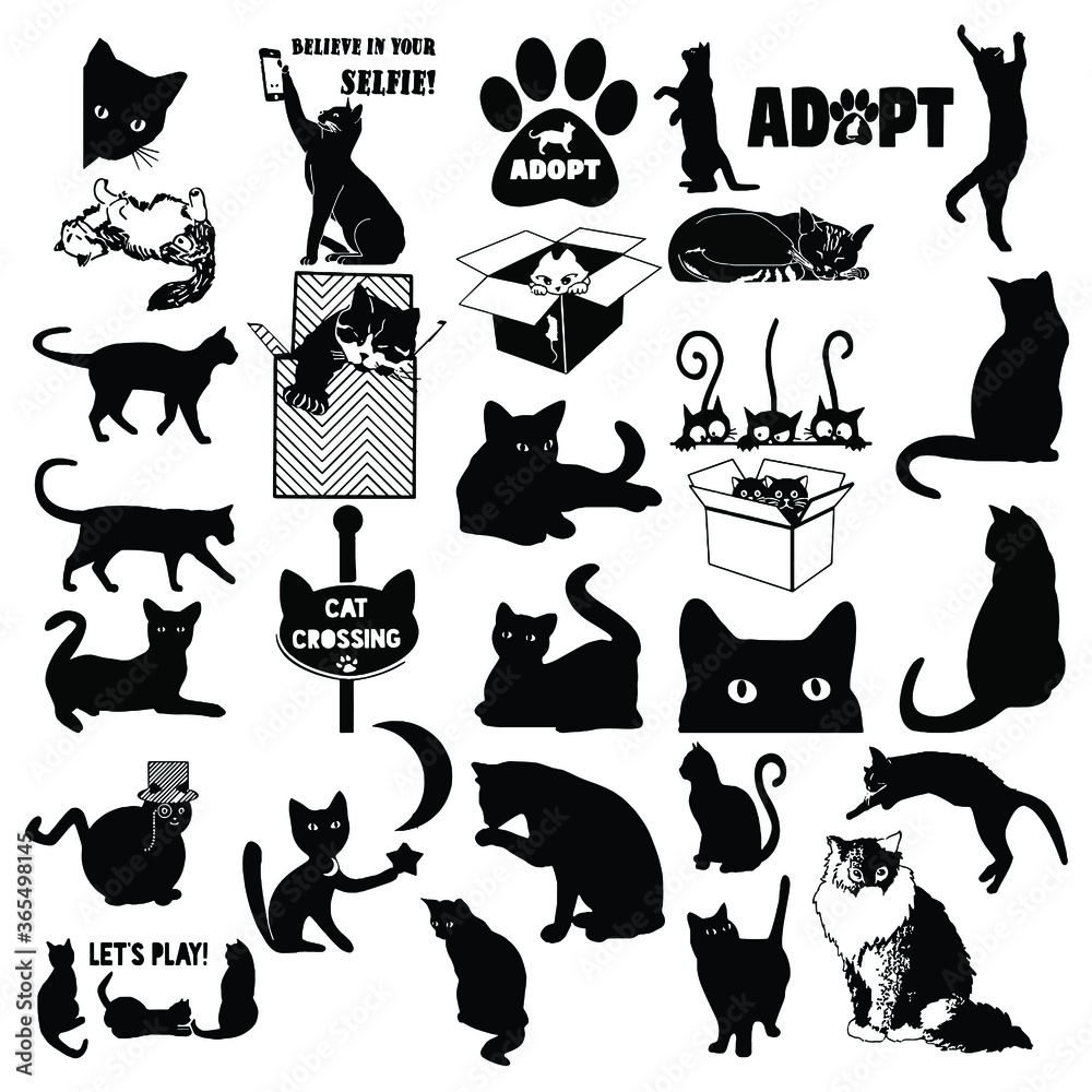 Cat silhouettes vector image