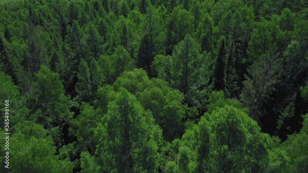 Aerial view of little village surrounded by Ural Mountains, sunny summer day with cloudless sky and green mixed forest, drone flying forward Aerial view of little village surrounded by Ural Mountains, sunny summer day with cloudless sky and green mixed forest, drone flying forward