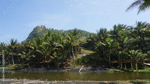 The situation of the beach is very quiet at the end of the virus pandemic with beautiful scenery and many coconut trees on the hill beside the white sand beach