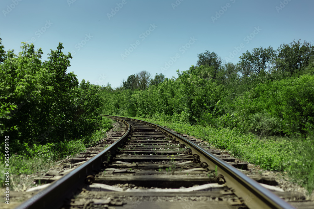 Natural landscape background. Close-up of railroad through green forest in sunny day.