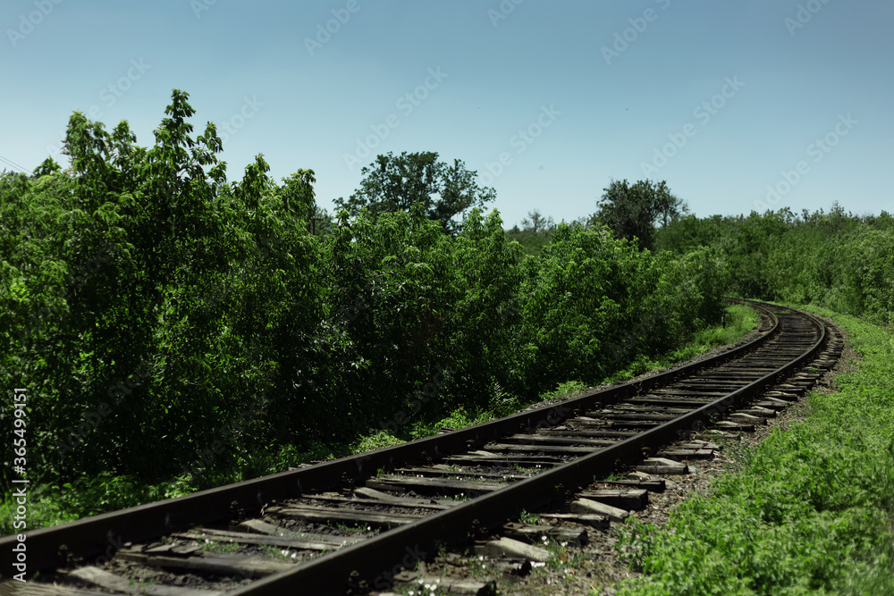 Natural landscape background. Railroad through green forest in sunny day. Natural landscape background. Railroad through green forest in sunny day.