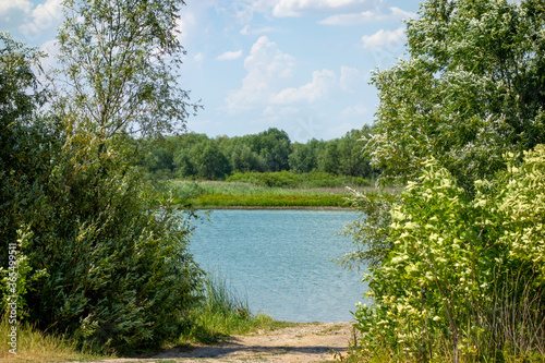 Summer landscape. View of the river and the opposite bank with densely growing trees. Place to relax and swim in nature.