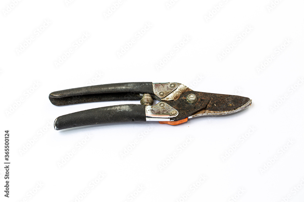 Old Pruning shears with rust on isolated white background Old Pruning shears with rust on isolated white background