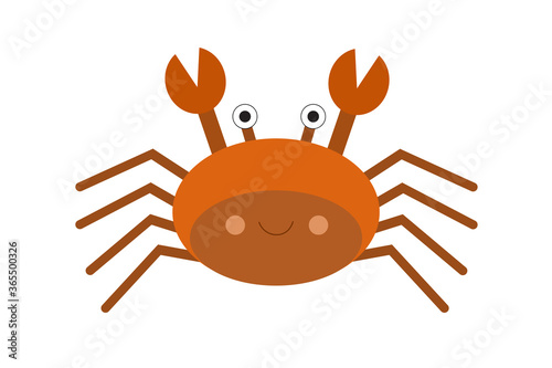 Crab isolated on white background.