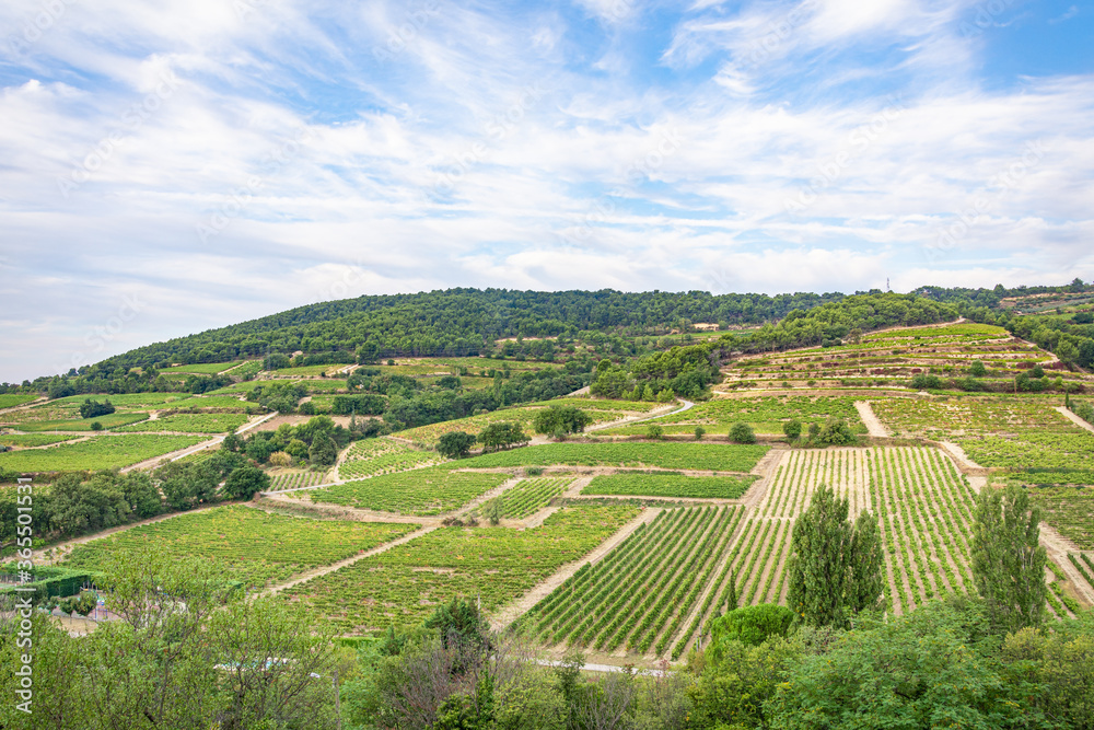 Vines and farming in the Rhone Valley, France
